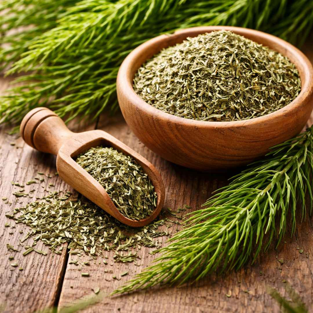 Sveža in suha njivska preslica (Equisetum arvense) v leseni posodi in zajemalki na rustikalni leseni mizi, z zelenimi poganjki v ozadju